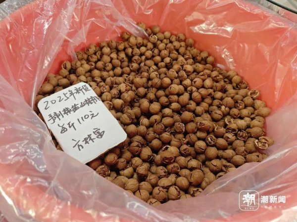 乐发 萧山很多人惦记的这一口上市了！三年来最低价