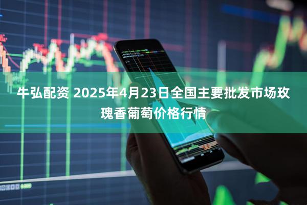牛弘配资 2025年4月23日全国主要批发市场玫瑰香葡萄价格行情
